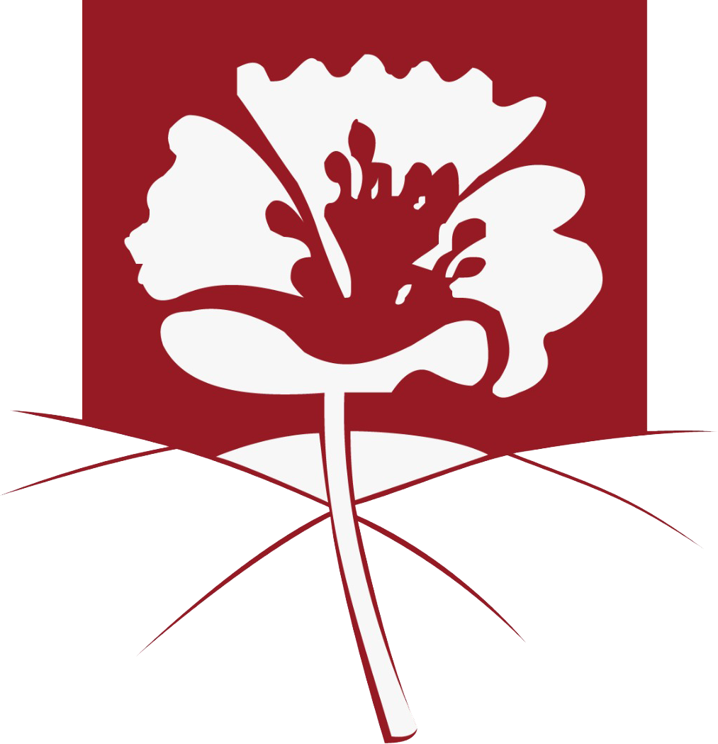 طاقم شؤون المرأة